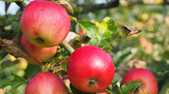 You Can Allow Yourself to Have It All